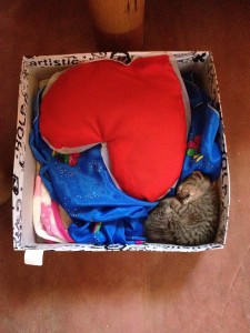 Sugar Beach in Sipalay-012